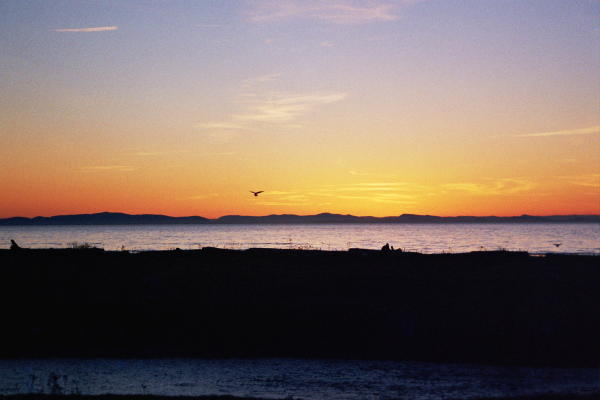 This is a winter beach picture taken of our beach.  The mountains in the background are the Gulf Islands (in Canada)
